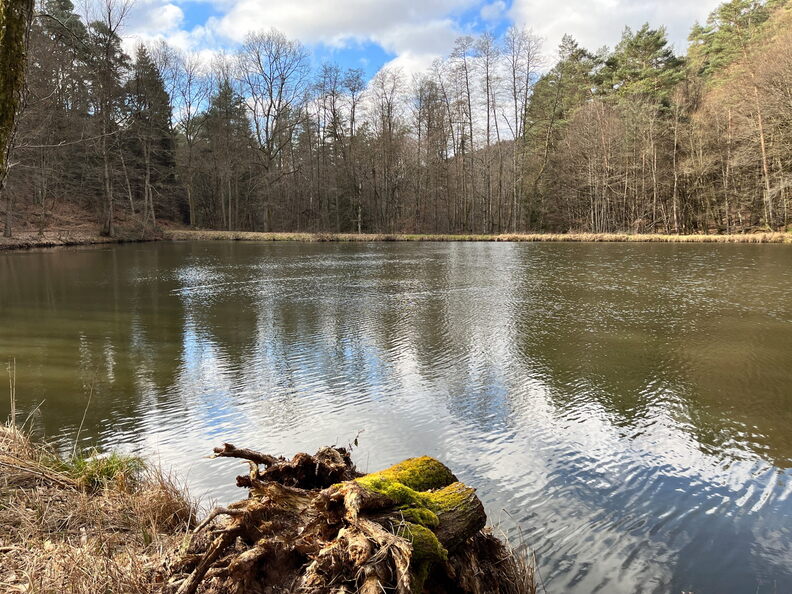 23-02-26 11-24-07 4347